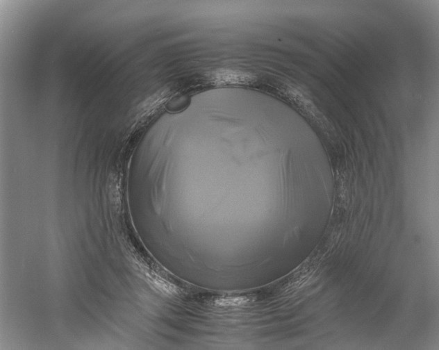 X0000060570357200511171637