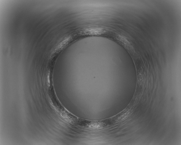 X0000060570358200511171637