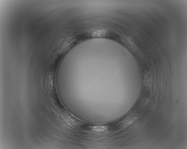 X0000060570363200511171637