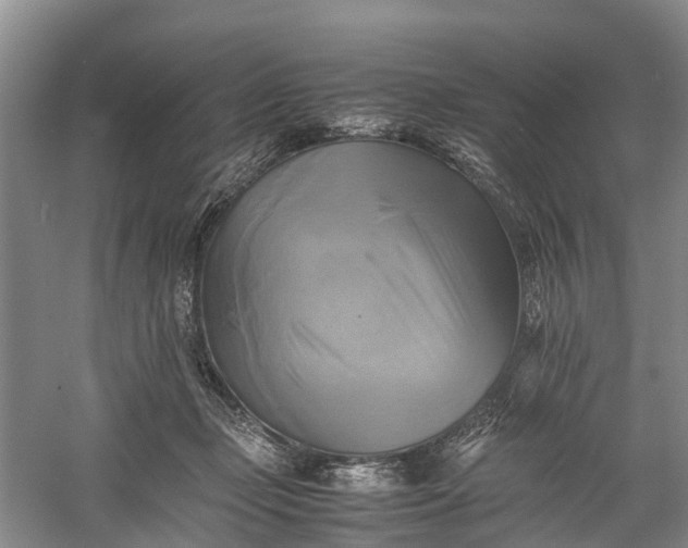 X0000060570365200511171637