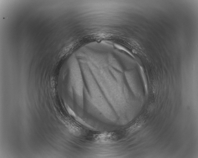 X0000060570366200511171637