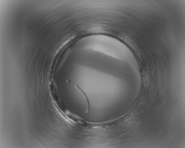 X0000060570390200511171637