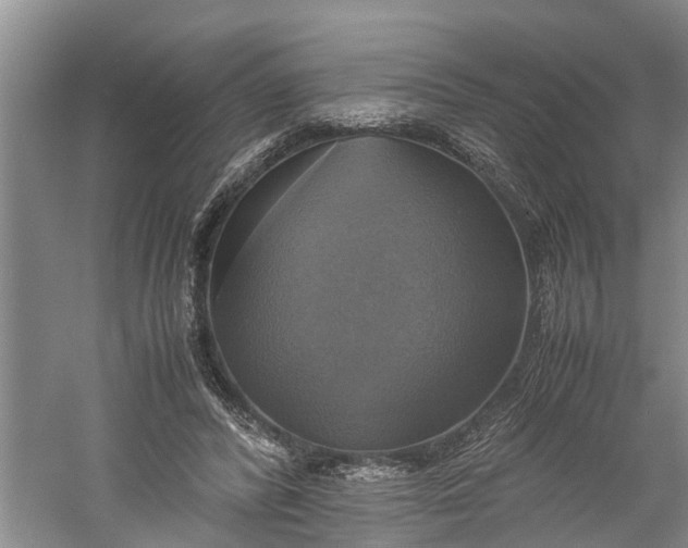 X0000060570400200511171637