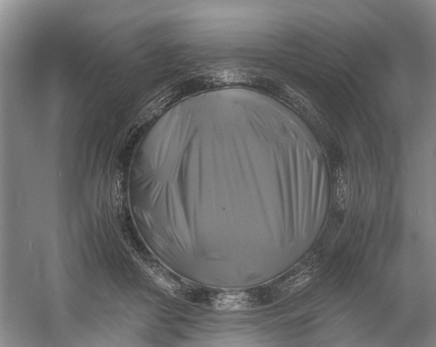 X0000060570410200511171636