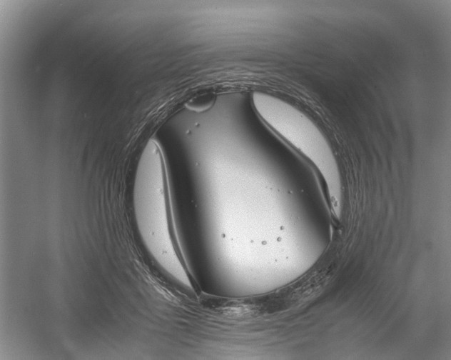 X0000060570411200511171636