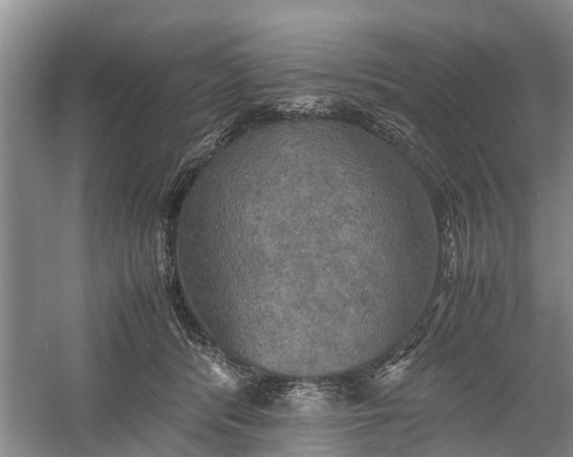 X0000060570416200511171636