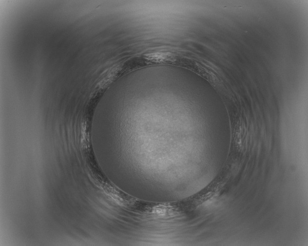 X0000060570420200511171636