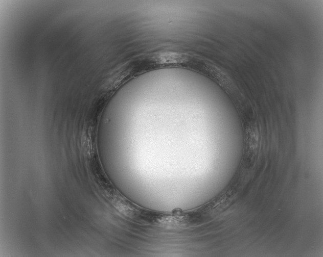 X0000060570422200511171636