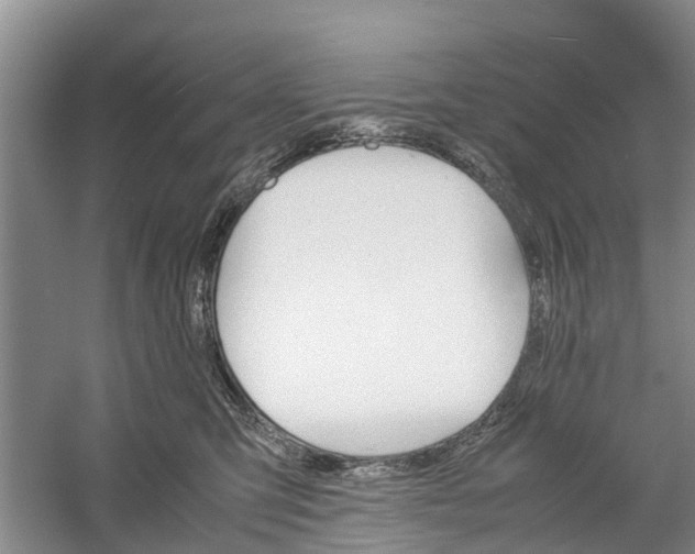 X0000060570423200511171636