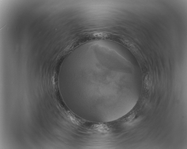 X0000060570424200511171636