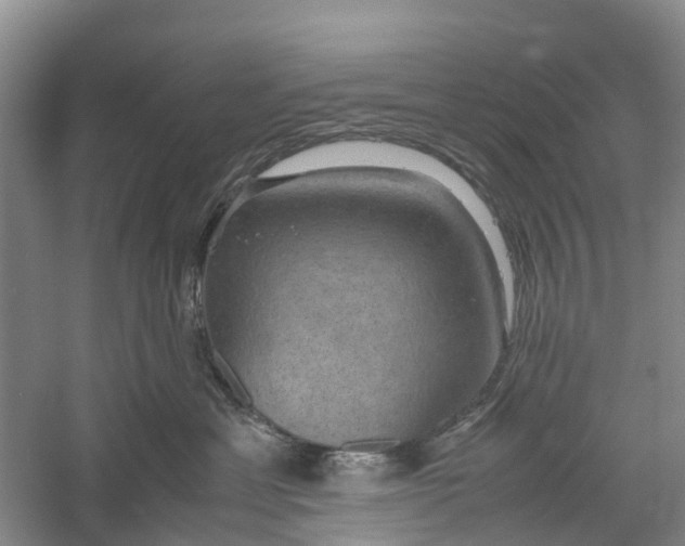 X0000060570429200511171636