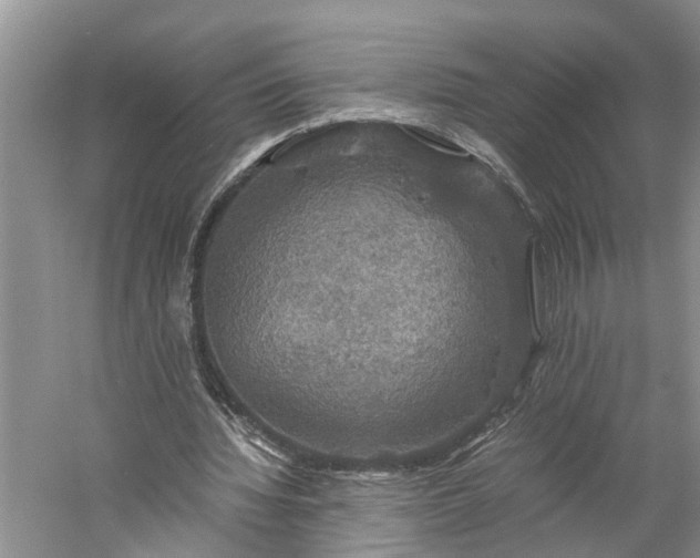 X0000060570436200511171635