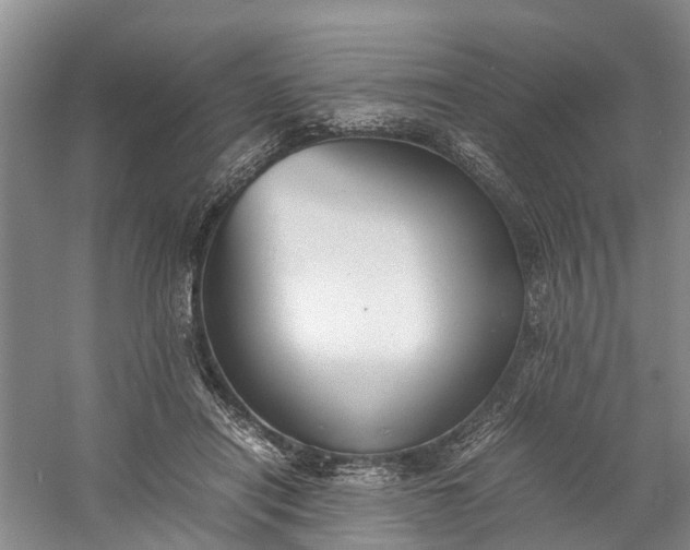 X0000060570454200511171636