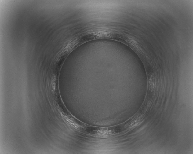 X0000060570458200511171636