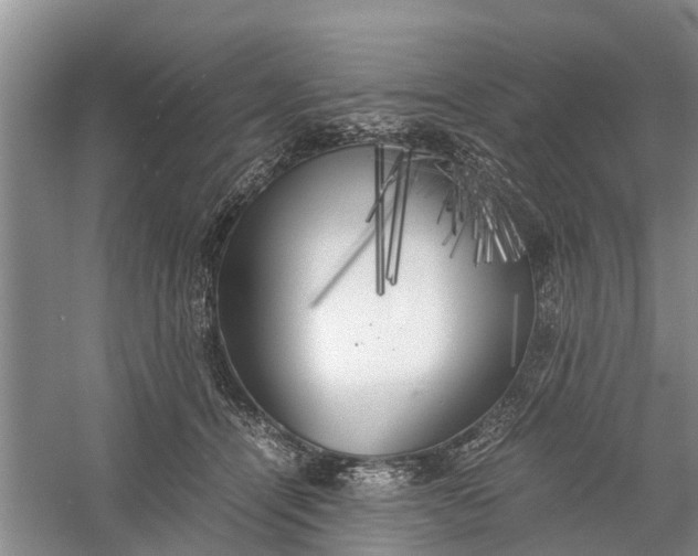 X0000060570464200511171636