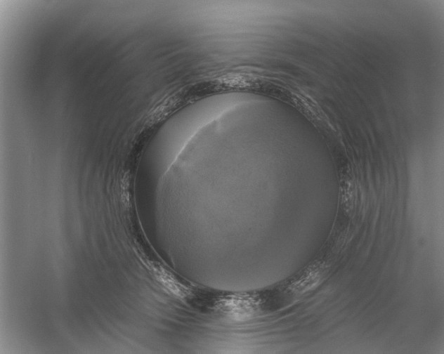 X0000060570466200511171636