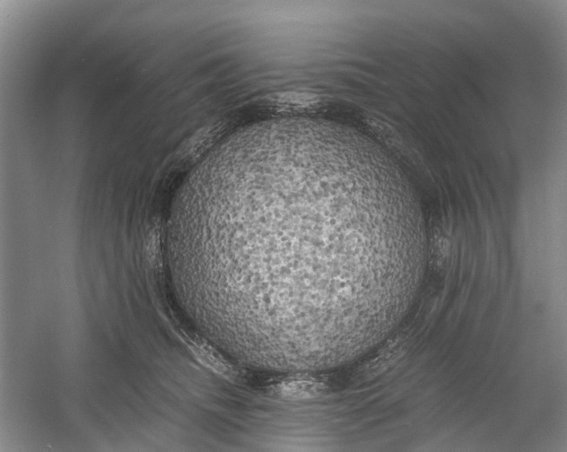 X0000060570468200511171636