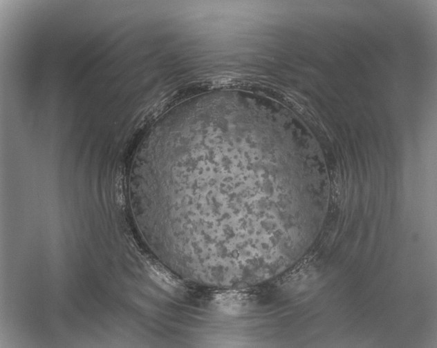 X0000060570470200511171636