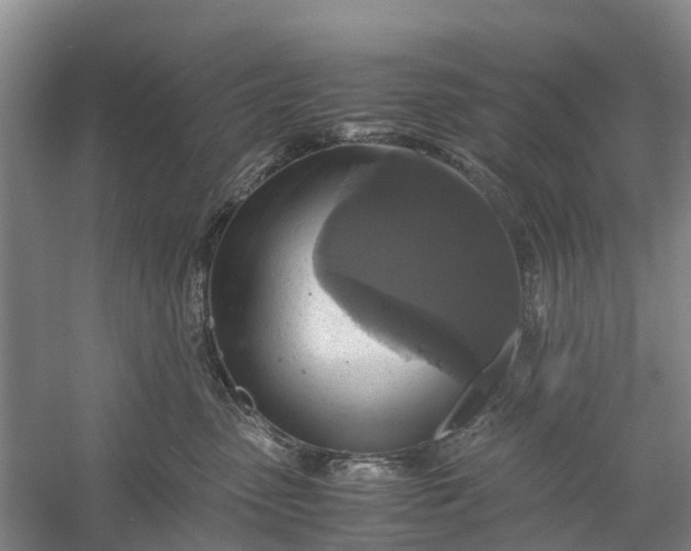 X0000060570475200511171636