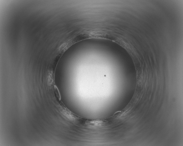 X0000060570478200511171636