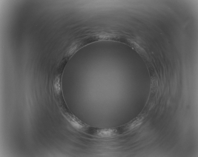 X0000060570479200511171636