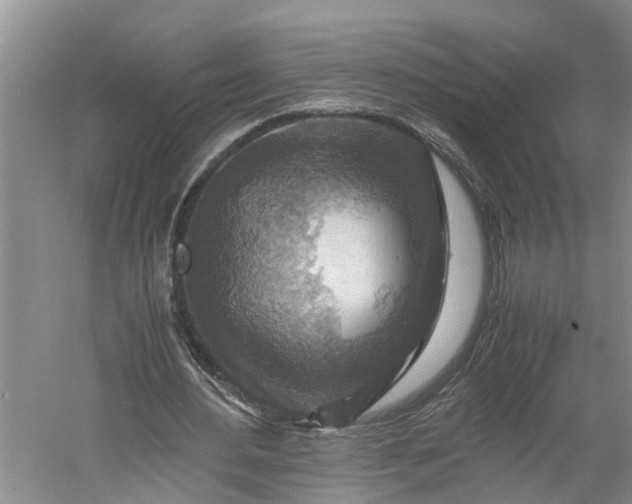 X0000060570484200511171635
