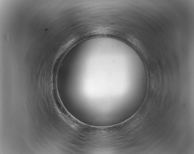 X0000060570486200511171635