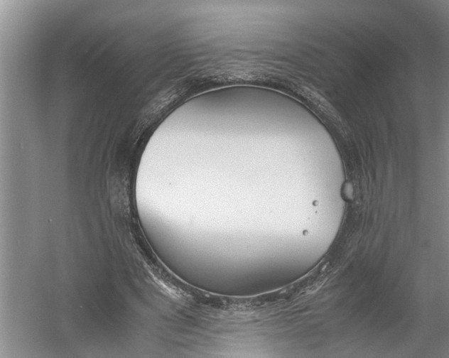 X0000060570489200511171635