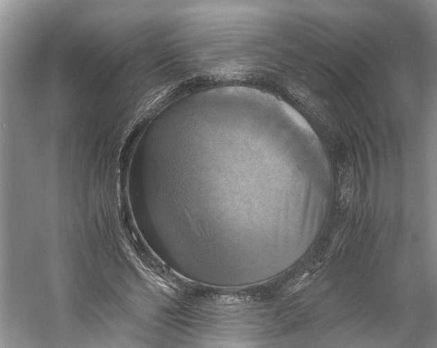 X0000060570494200511171635