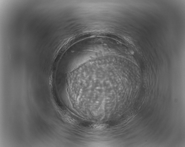 X0000060570495200511171635