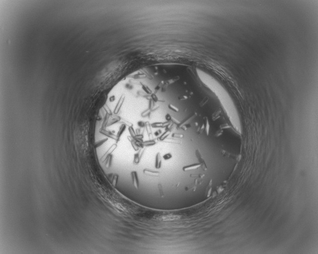X0000060570501200511171635