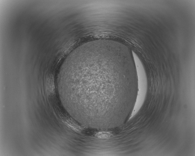X0000060570508200511171635