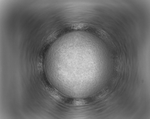 X0000060570510200511171635