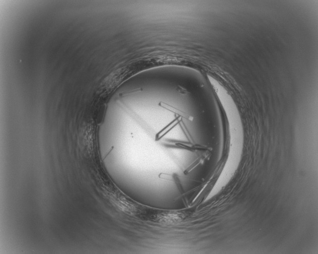 X0000060570513200511171635