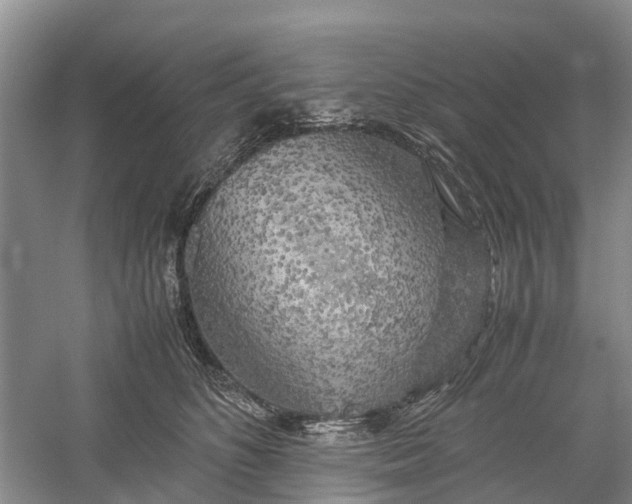 X0000060570516200511171635