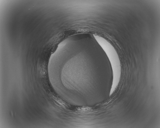 X0000060570517200511171635