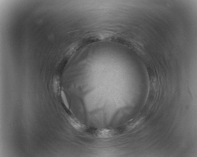 X0000060570527200511171634
