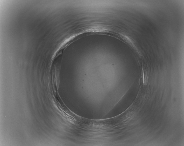 X0000060570531200511171634
