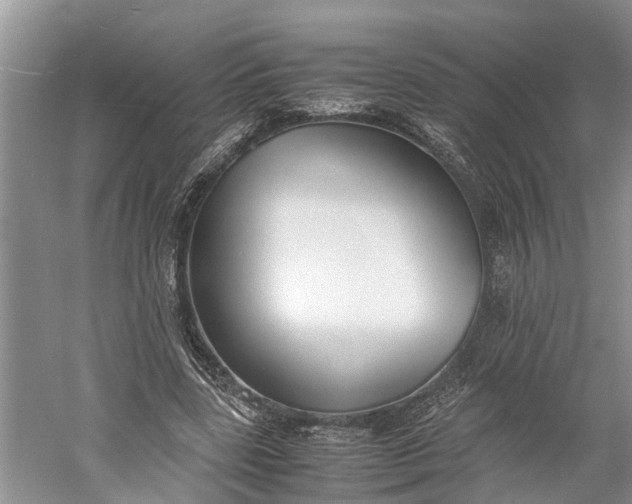 X0000060570539200511171634