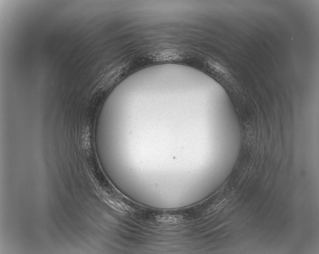 X0000060570549200511171634