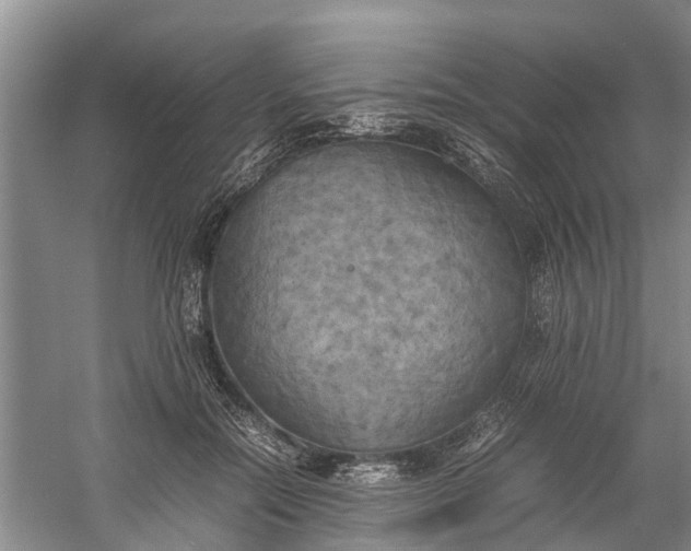 X0000060570554200511171634