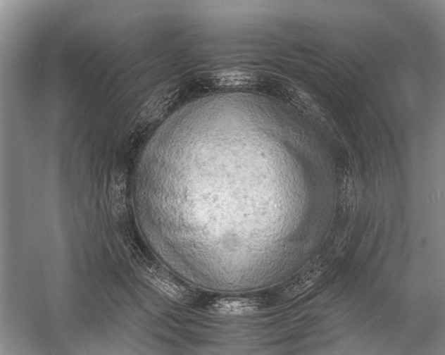 X0000060570557200511171634