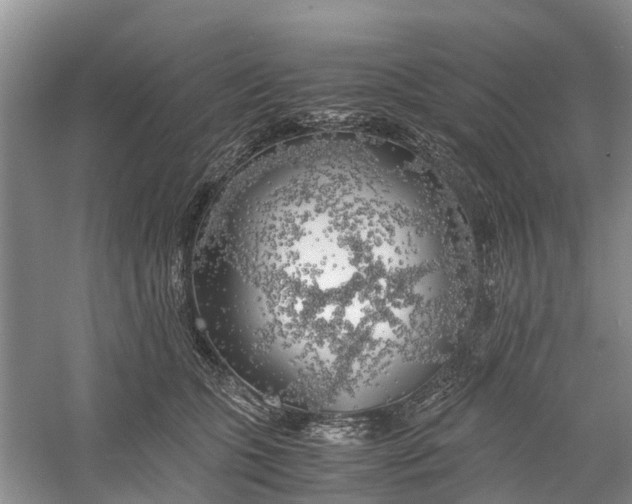 X0000060570563200511171634