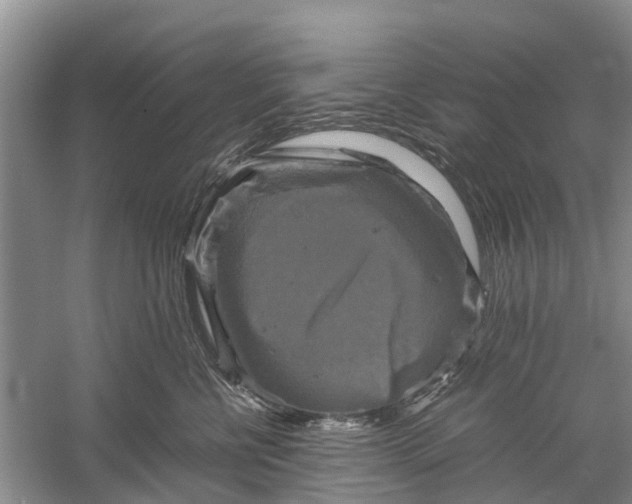 X0000060570570200511171634