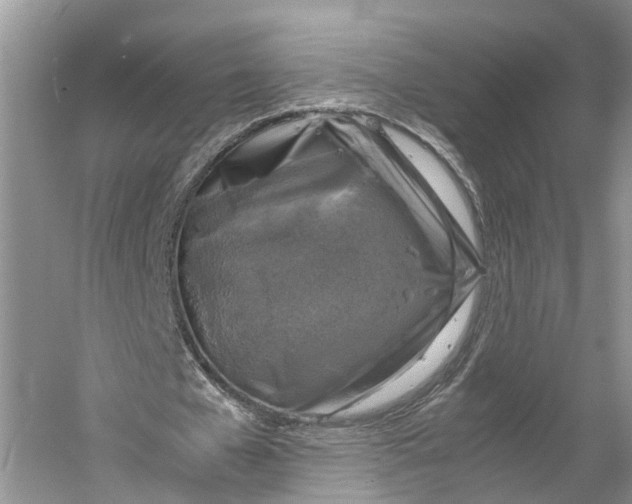 X0000060570577200511171634