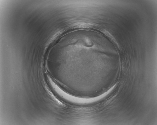 X0000060570581200511171634
