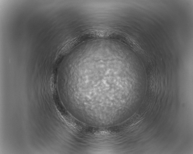 X0000060570594200511171633