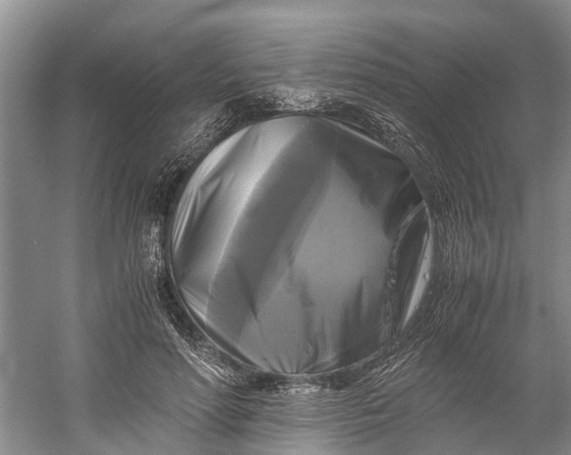 X0000060570598200511171633