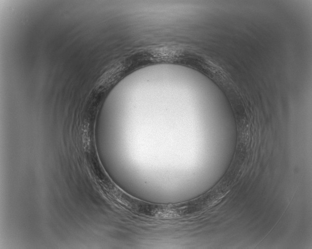 X0000060570599200511171633
