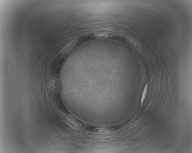 X0000060570601200511171633